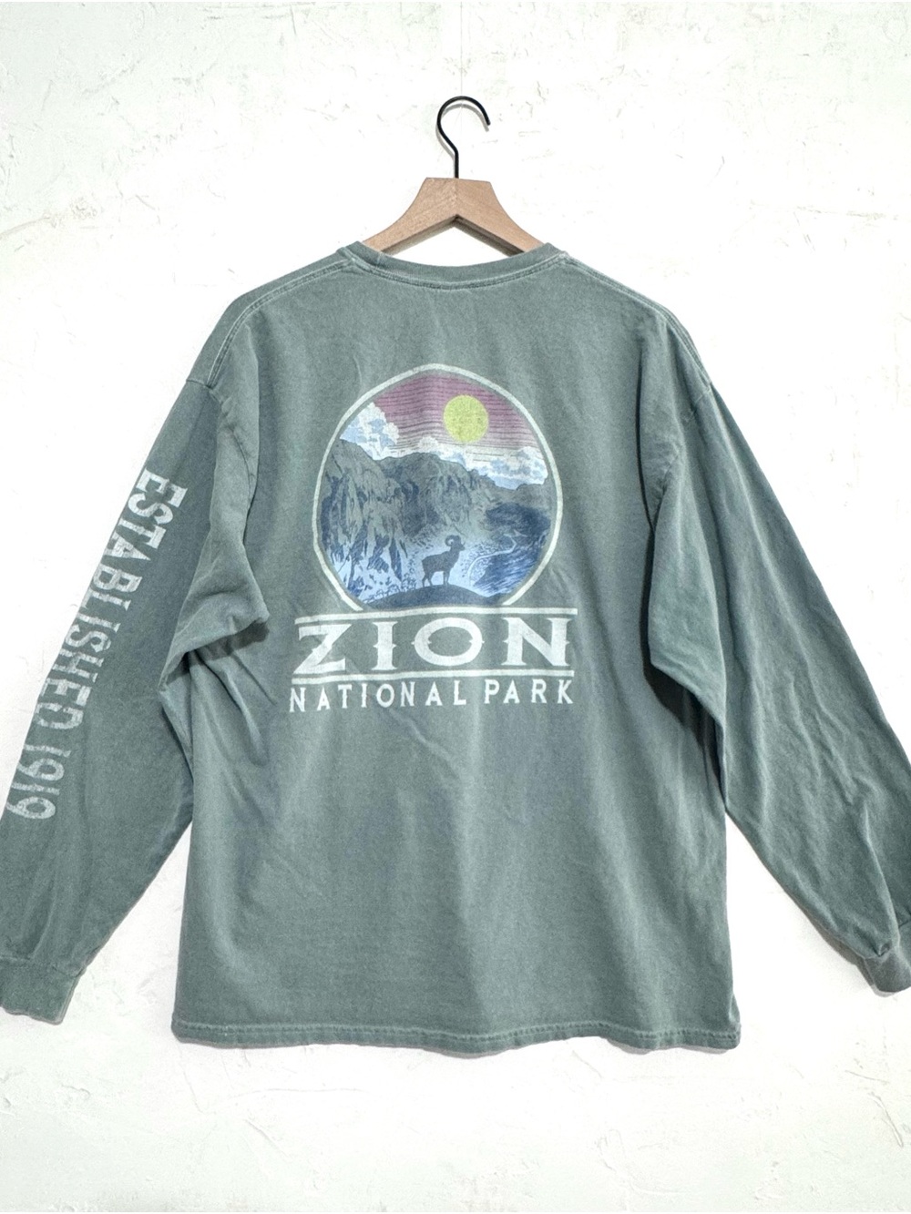 Vintage Zion National Park Long Sleeve Graphic Tee XL Washed Green